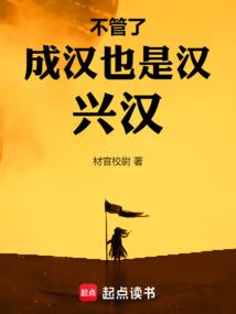 不管了，成汉也是汉，兴汉！